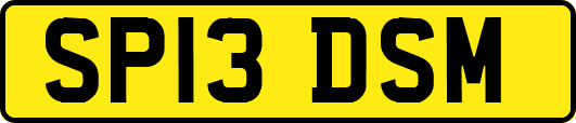SP13DSM