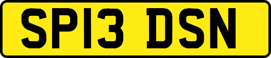 SP13DSN