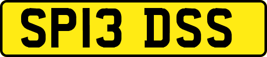 SP13DSS