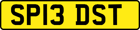 SP13DST
