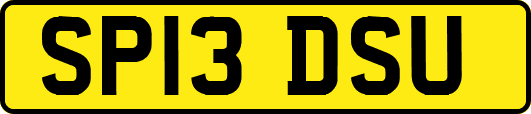 SP13DSU