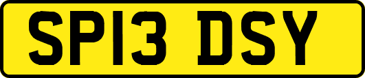 SP13DSY