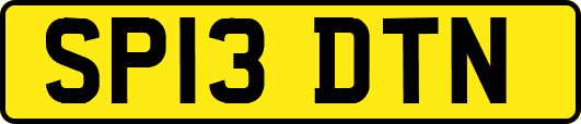 SP13DTN