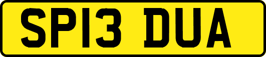 SP13DUA