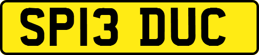 SP13DUC