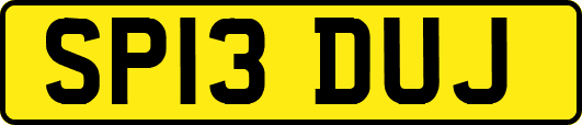 SP13DUJ