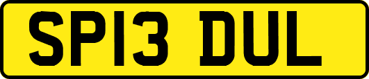 SP13DUL