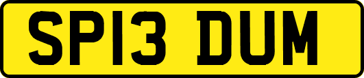SP13DUM