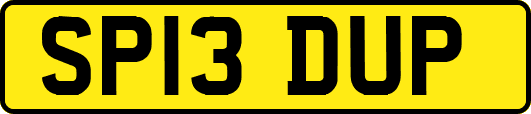 SP13DUP