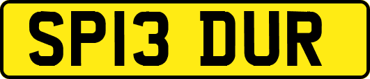 SP13DUR