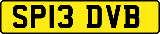 SP13DVB