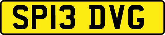 SP13DVG