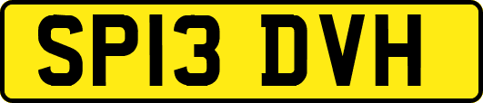 SP13DVH