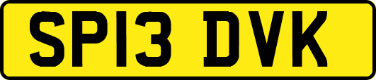 SP13DVK