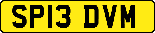 SP13DVM