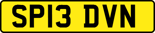 SP13DVN