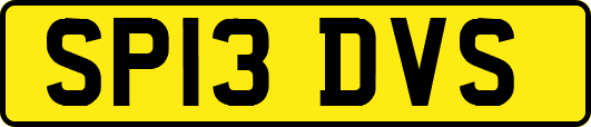 SP13DVS