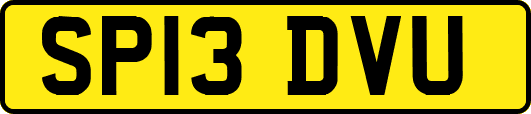 SP13DVU