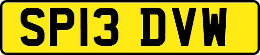 SP13DVW