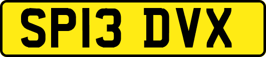 SP13DVX