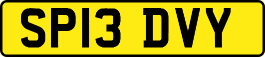 SP13DVY