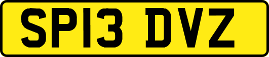 SP13DVZ
