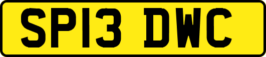 SP13DWC