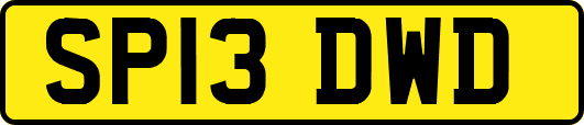 SP13DWD