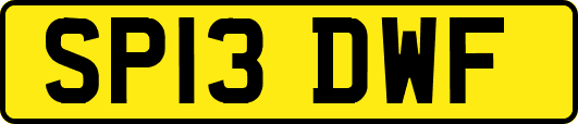 SP13DWF