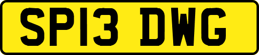 SP13DWG