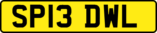 SP13DWL