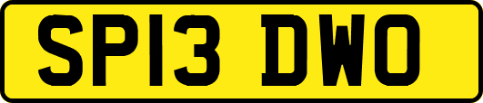 SP13DWO