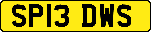 SP13DWS