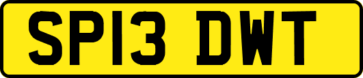 SP13DWT