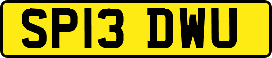 SP13DWU