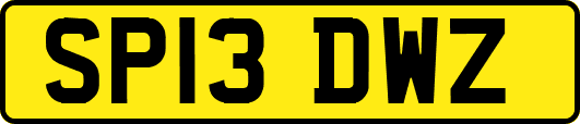 SP13DWZ