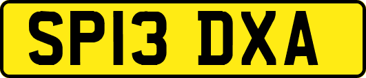 SP13DXA