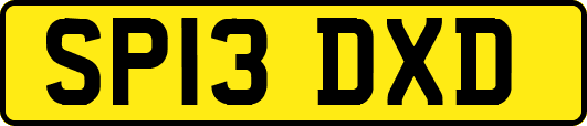 SP13DXD