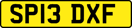 SP13DXF