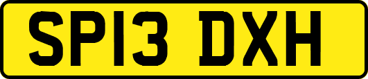 SP13DXH