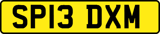 SP13DXM