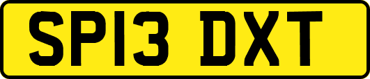 SP13DXT