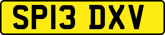 SP13DXV