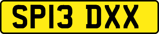 SP13DXX