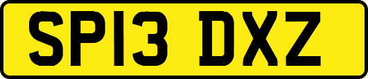 SP13DXZ