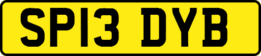 SP13DYB