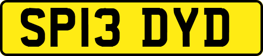 SP13DYD