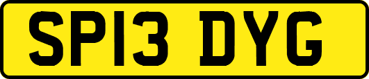 SP13DYG