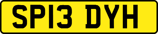 SP13DYH