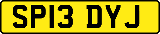 SP13DYJ